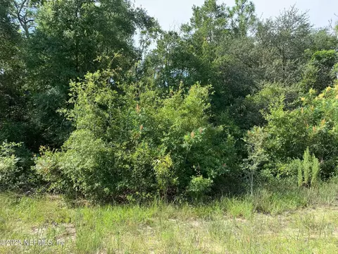 119 Lynnwood Ave, Interlachen, FL 32148