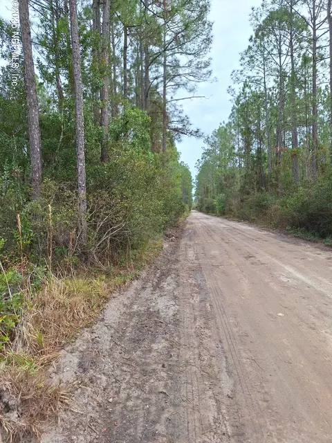 0 E San Jose, Palatka, FL 32177