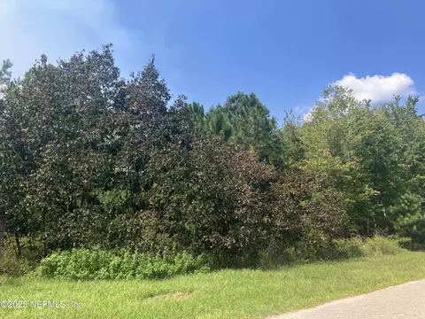 00 County Rd 217, Middleburg, FL 32234