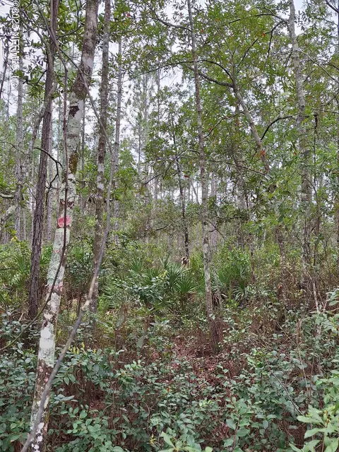 0 E Don Quixote St, Palatka, FL 32177