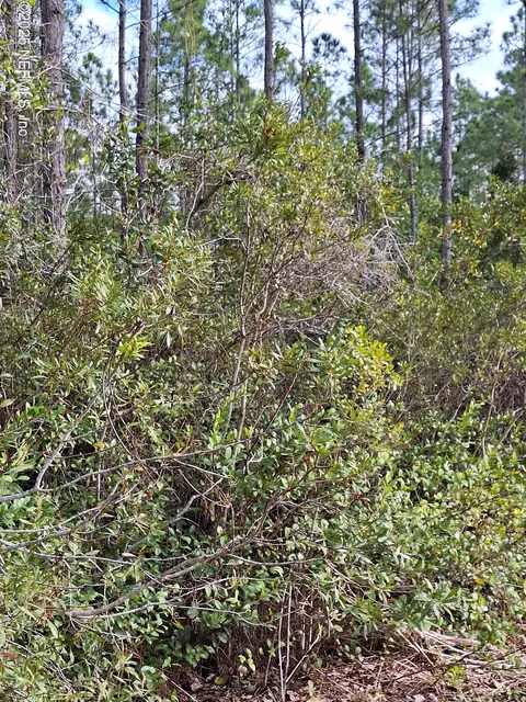 0 Escambia State Rd, Palatka, FL 32177