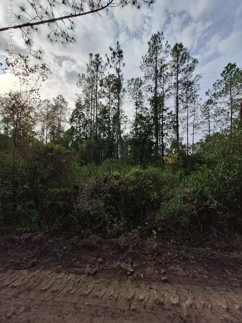 0 E St Johns St, Palatka, FL 32177