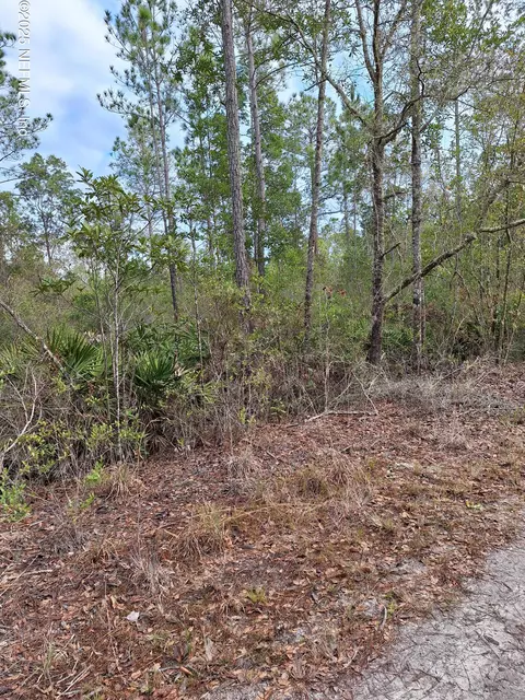 00 E St Johns State Rd, Palatka, FL 32177