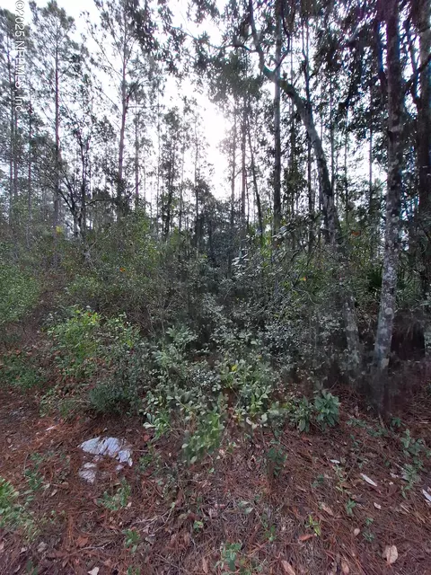 000 E St Johns St, Palatka, FL 32177