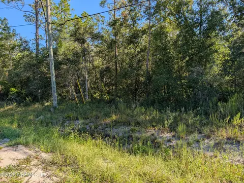0010 Cordell Boundary, Interlachen, FL 32148 photo 4