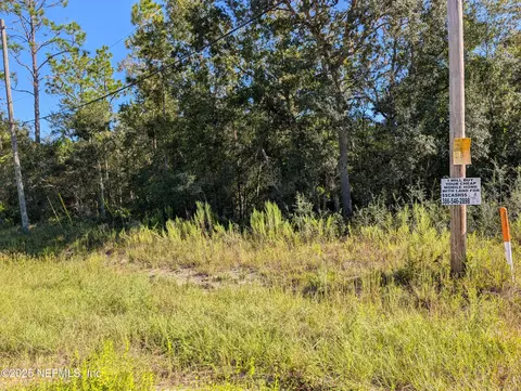 0010 Cordell Boundary, Interlachen, FL 32148 photo 3