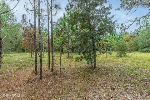 00 Appaloosa Rd, Middleburg, FL 32068