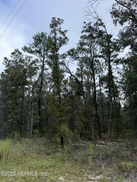 5820 Campo Dr, Keystone Heights, FL 32656