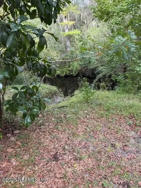 0 Skipper Rd, Middleburg, FL 32068