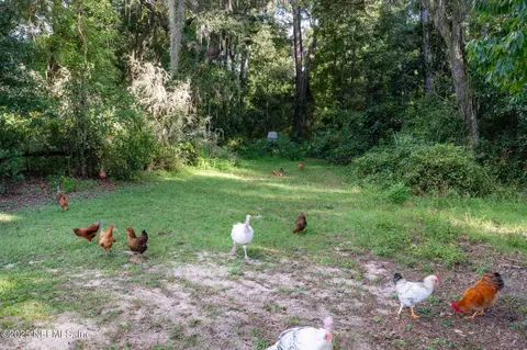 Other - 105 Dairy Rd, Melrose, FL 32666 photo 2 of 21