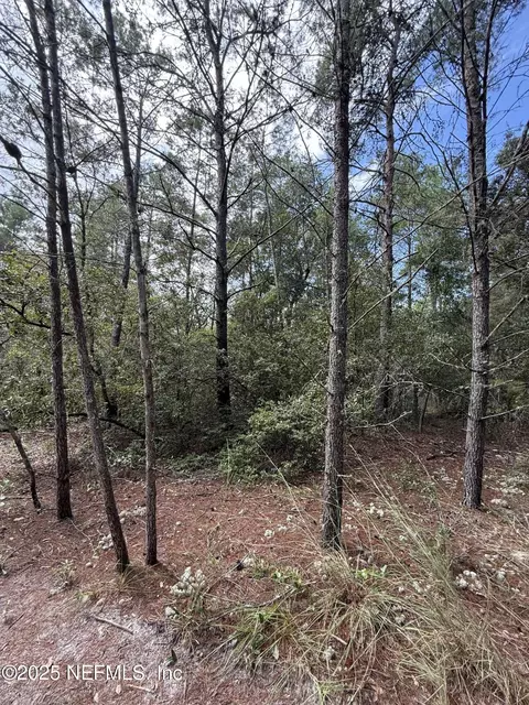 00 Banana Ave, Welaka, FL 32193