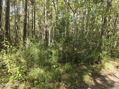 4122 Becky St, Middleburg, FL 32068