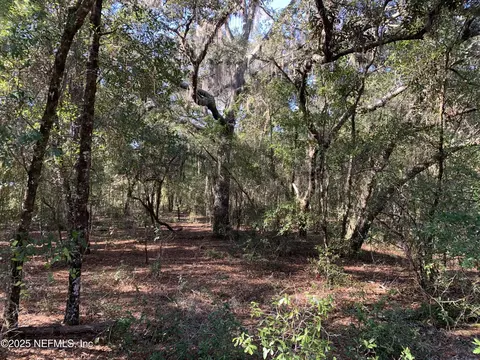 000 Drayton Ave, Interlachen, FL 32148