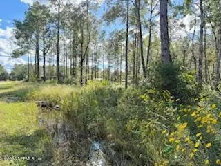 10715 Yeager Ave, Hastings, FL 32145