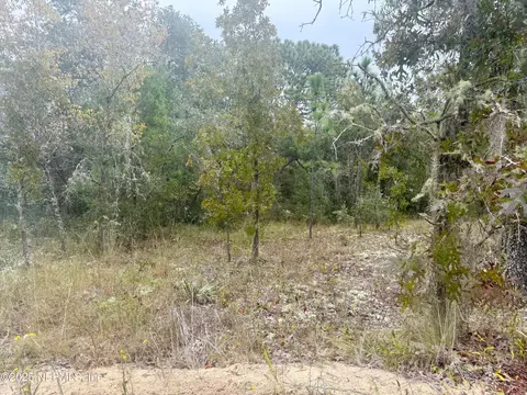 118 Geneve St, Interlachen, FL 32148 photo 2