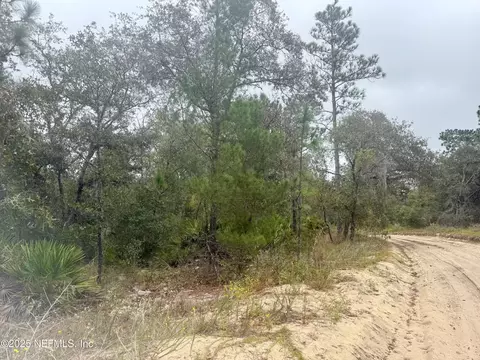 118 Geneve St, Interlachen, FL 32148 photo 3