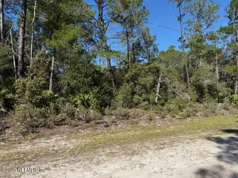 113 Ocala Dr, Georgetown, FL 32139 photo 1