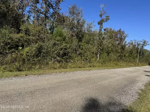 10645 Turpin Ave, Hastings, FL 32145