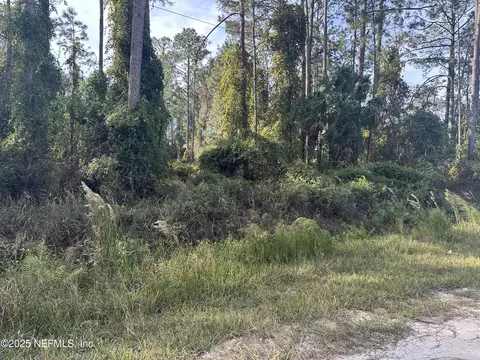 103 Pine Cone Dr, Georgetown, FL 32139