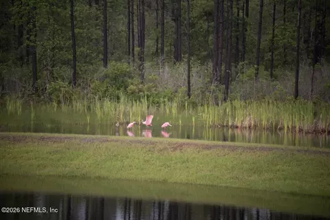Other - 239 Blue Cypress Trl, Saint Augustine, FL 32084 photo 7 of 7