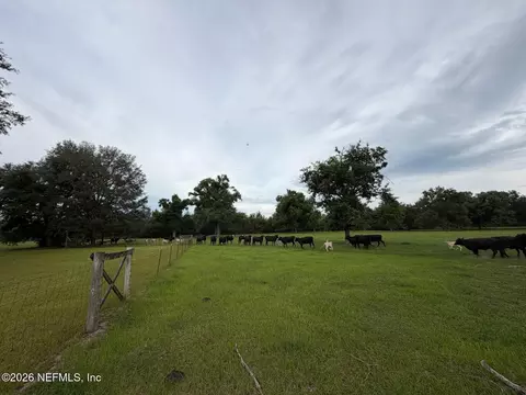 Other - 5377 SW 40th Ave, Jasper, FL 32052 photo 59 of 59