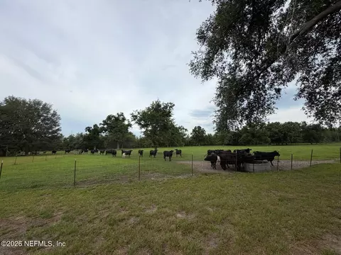 Other - 5377 SW 40th Ave, Jasper, FL 32052 photo 56 of 59