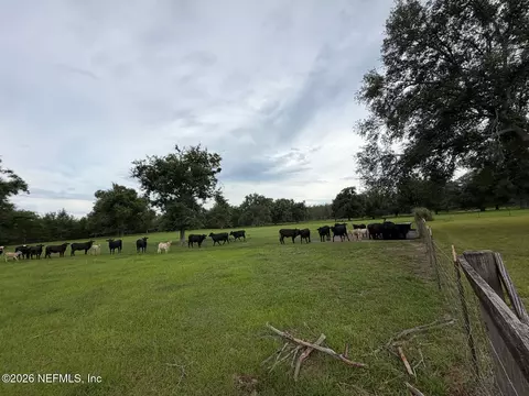 Other - 5377 SW 40th Ave, Jasper, FL 32052 photo 58 of 59