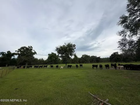 Other - 5377 SW 40th Ave, Jasper, FL 32052 photo 57 of 59