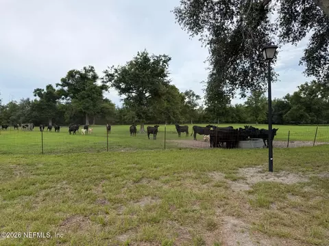 Other - 5377 SW 40th Ave, Jasper, FL 32052 photo 55 of 59