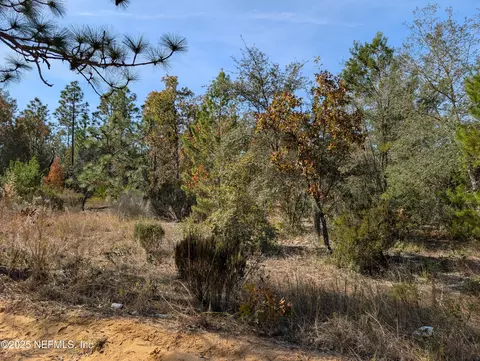 0570-0020 Violet Ave, Interlachen, FL 32148 photo 3