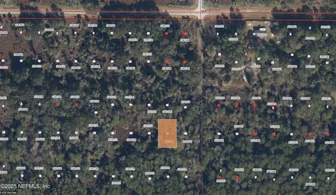 234 Laisy Dr, Georgetown, FL 32139