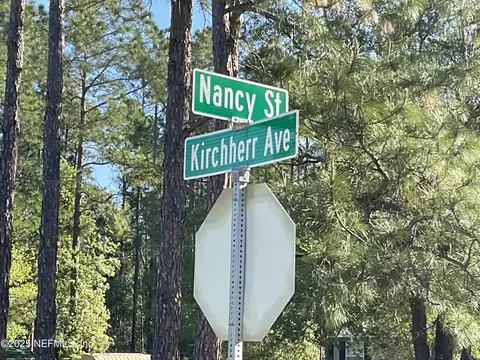 10030 Kirchherr Ave, Hastings, FL 32145