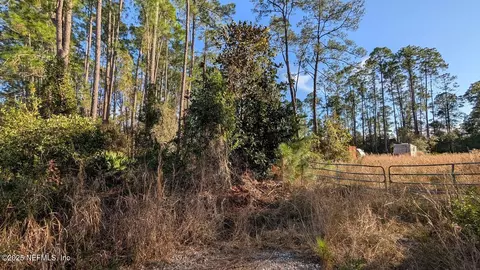 113 White Pine Ln, Georgetown, FL 32139 photo 3