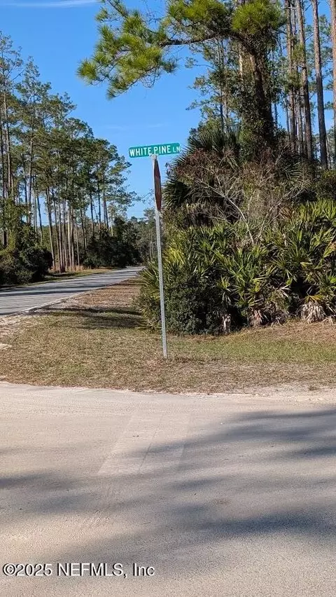 113 White Pine Ln, Georgetown, FL 32139 photo 9