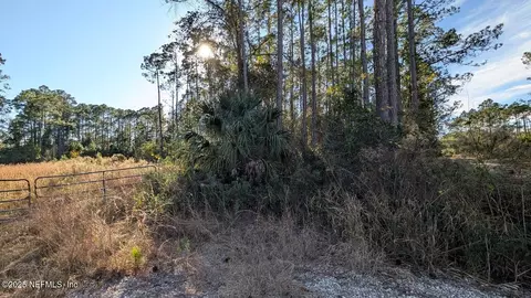 113 White Pine Ln, Georgetown, FL 32139 photo 4