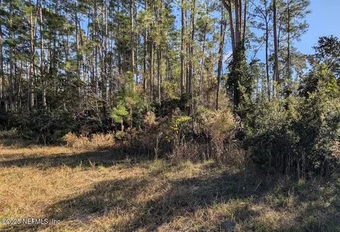 113 White Pine Ln, Georgetown, FL 32139 photo 6