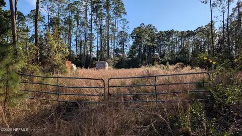 113 White Pine Ln, Georgetown, FL 32139 photo 2