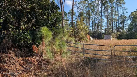 113 White Pine Ln, Georgetown, FL 32139 photo 7