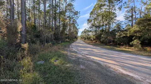 113 White Pine Ln, Georgetown, FL 32139 photo 8