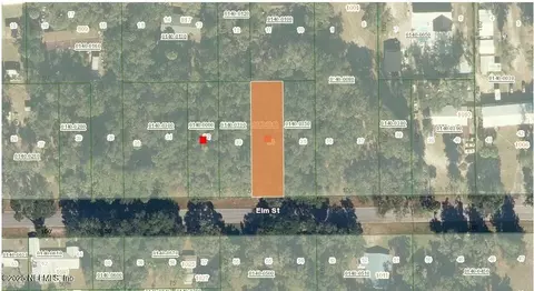 1024 Elm St, Welaka, FL 32193