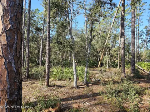 117 Glisson St, Interlachen, FL 32148 photo 4