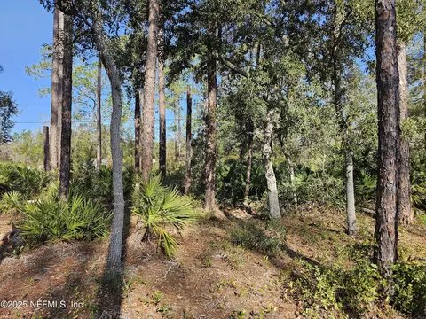 117 Glisson St, Interlachen, FL 32148 photo 6