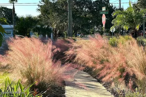 Other - 149 Menendez Rd, Saint Augustine, FL 32080 photo 1 of 19