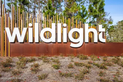 View/Area - 676 Palmetto Pl, Yulee, FL 32097 photo 1 of 8