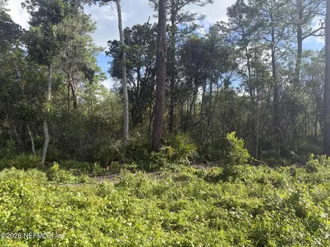 0 Waites Dr, Florahome, FL 32140