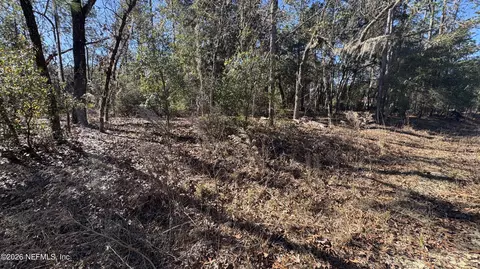 131 Spring Lake Dr, Interlachen, FL 32148 photo 4