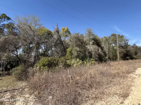0 Cherry Ave, Hawthorne, FL 32640 photo 2