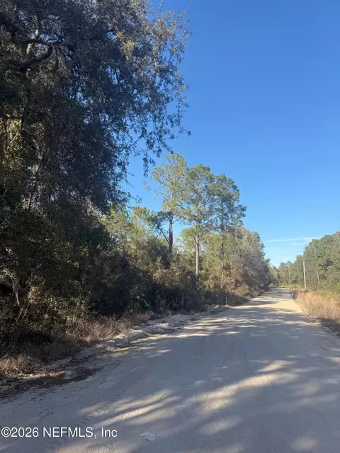 Zzz Nettles Drive, Florahome, FL 32140