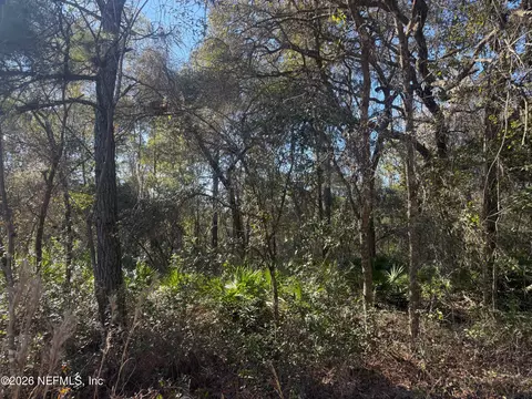 113 Doby Dr, Florahome, FL 32140 photo 3