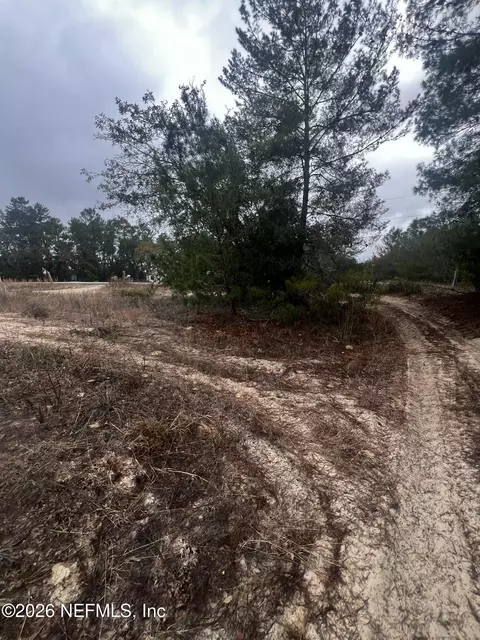 226 Ridge Rd, Satsuma, FL 32189